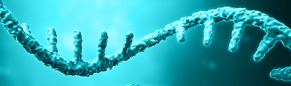mRNA image