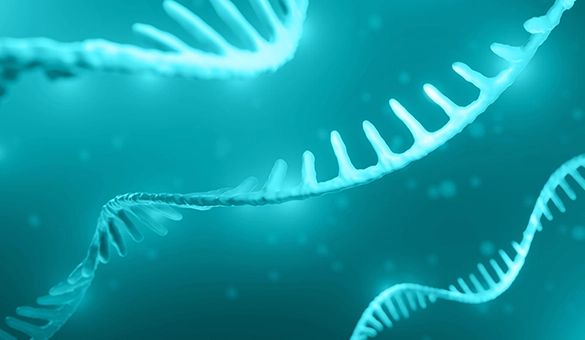 RNA