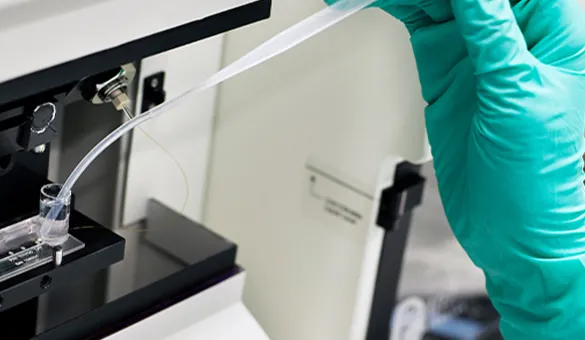 Lab