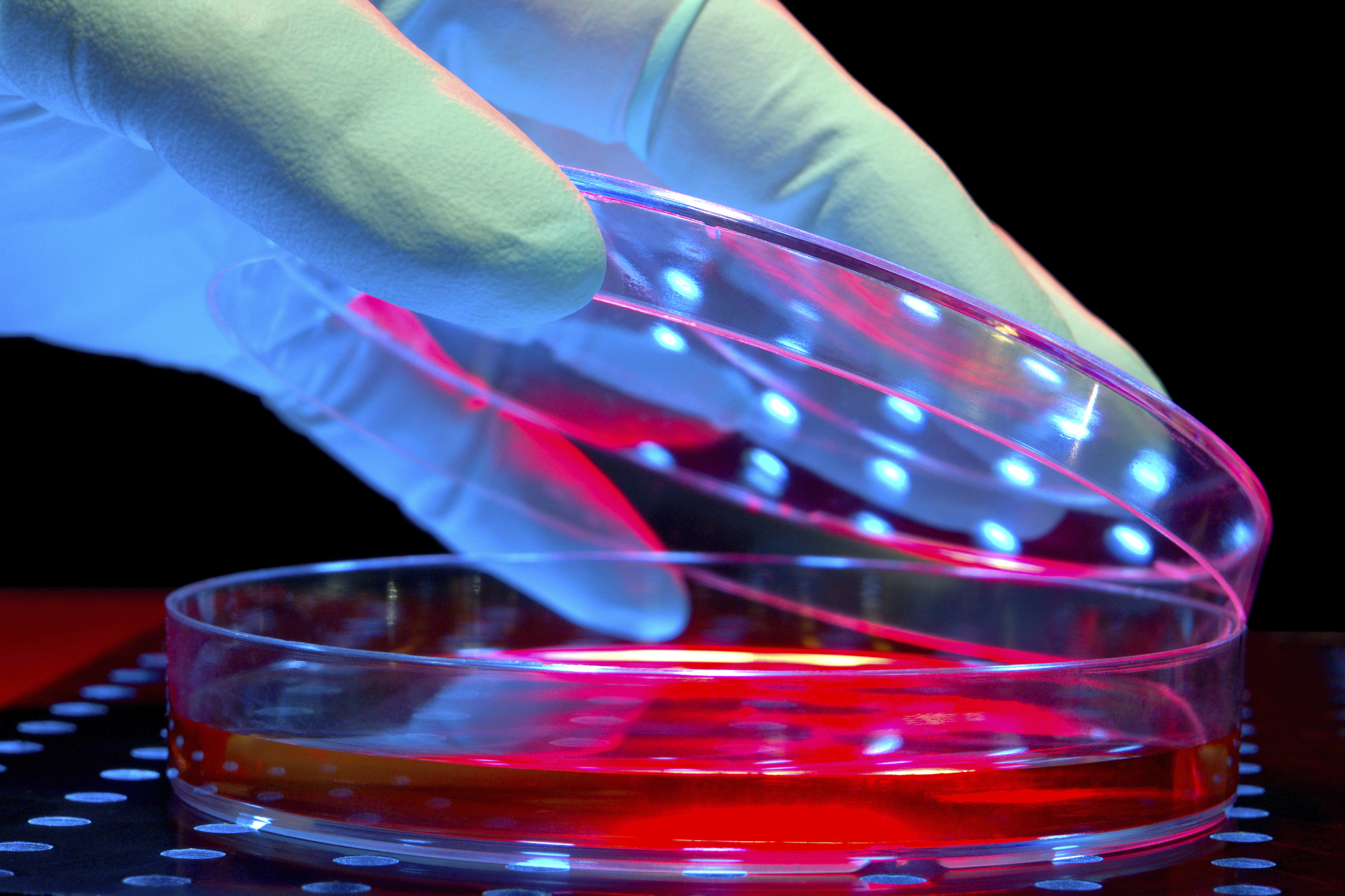 hands in lab