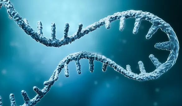 Bio_mRNA